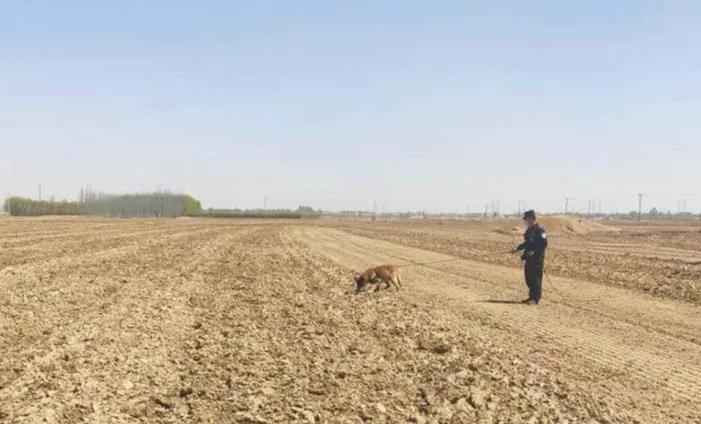 案值10万余元！达旗7小伙组团盗窃 被警方一举抓