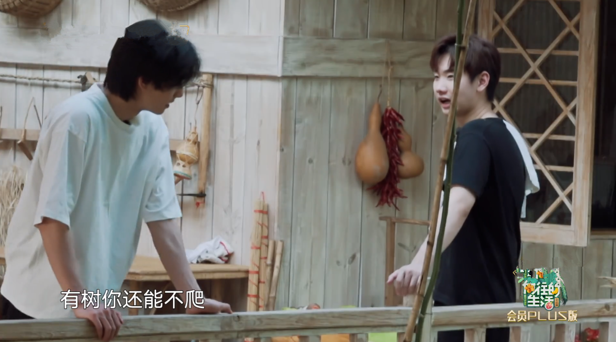 宋威龙试图摘椰子被拒，又缠着彭彭出门捞河蚌