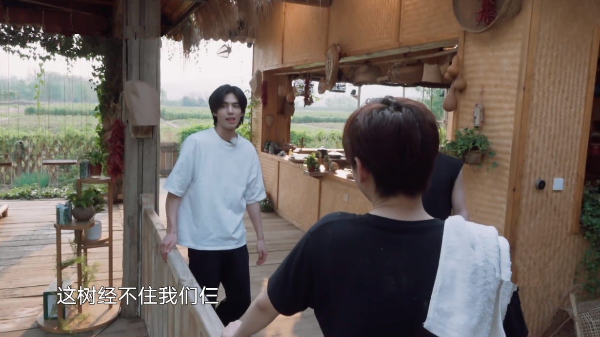 宋威龙试图摘椰子被拒，又缠着彭彭出门捞河蚌