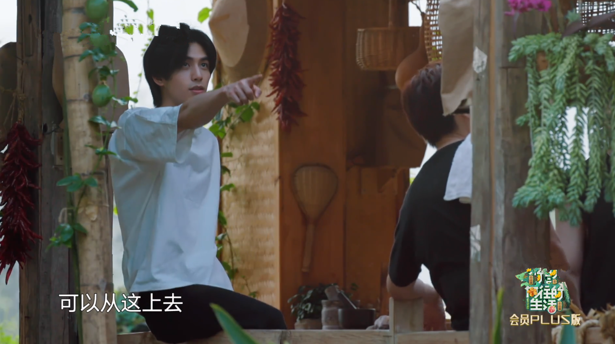 宋威龙试图摘椰子被拒，又缠着彭彭出门捞河蚌