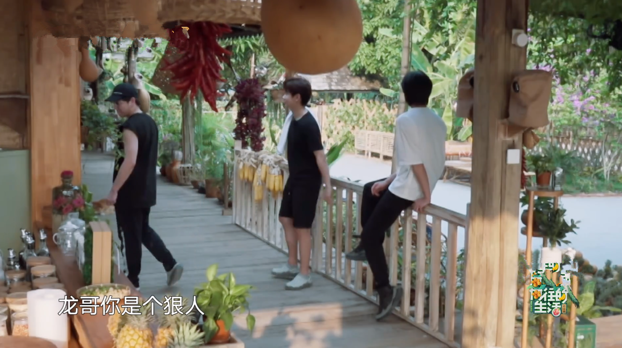 宋威龙试图摘椰子被拒，又缠着彭彭出门捞河蚌