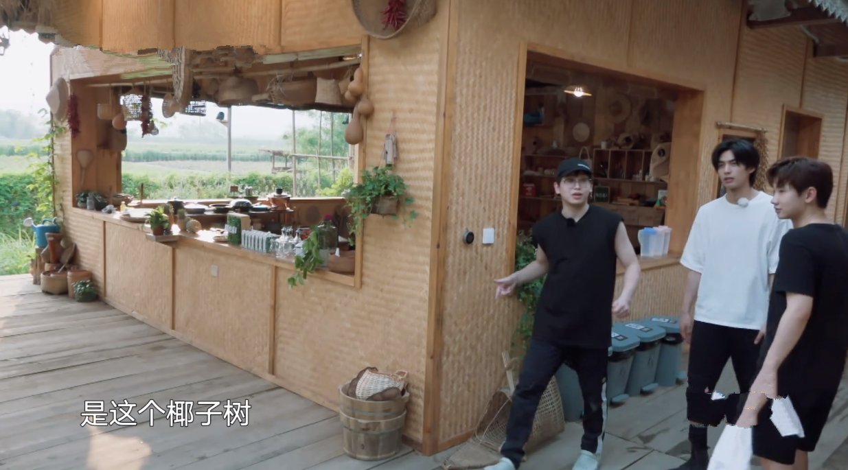 宋威龙试图摘椰子被拒，又缠着彭彭出门捞河蚌