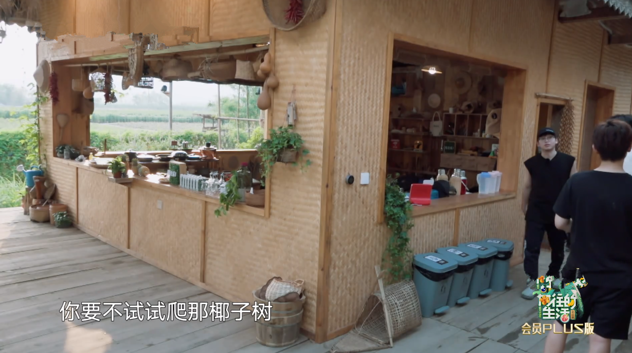 宋威龙试图摘椰子被拒，又缠着彭彭出门捞河蚌