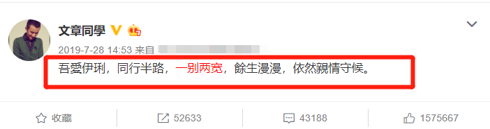 马伊琍对待爱情很有智慧，她有再次追求幸福的