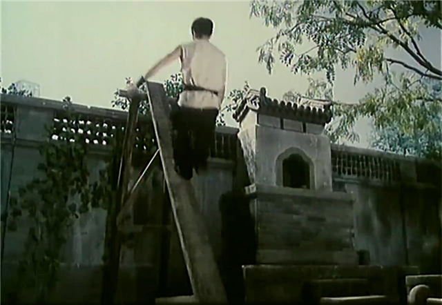 1983年，李连杰师叔一部功夫片：春晚打广告，央