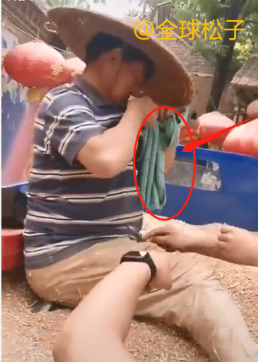 大衣哥家庄稼丰收了，亲自下地割麦子收小麦，