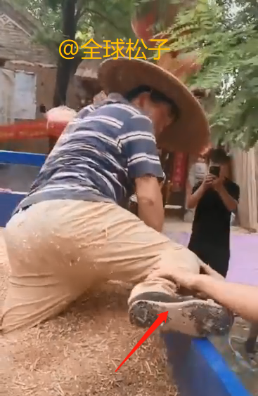 大衣哥家庄稼丰收了，亲自下地割麦子收小麦，