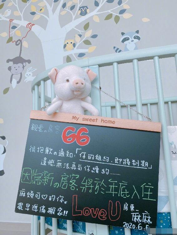 安以轩巧妙官宣怀二胎，提醒儿子要“搬家”，