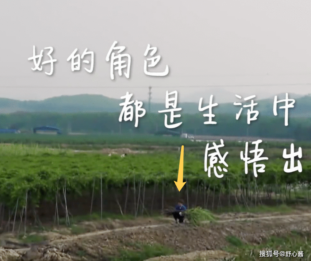 向往的生活：任嘉伦进门前后判若两人，许魏洲
