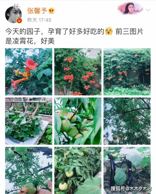 从未想过张馨予的日子能过成这样，她才应该去
