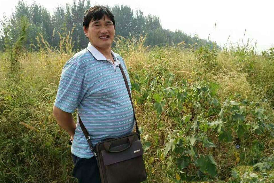 大衣哥家庄稼丰收了，亲自下地割麦子收小麦，