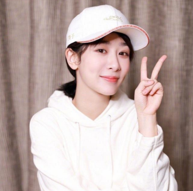 杨紫黑粉被告后伪造公章做证据，现处罚结果出