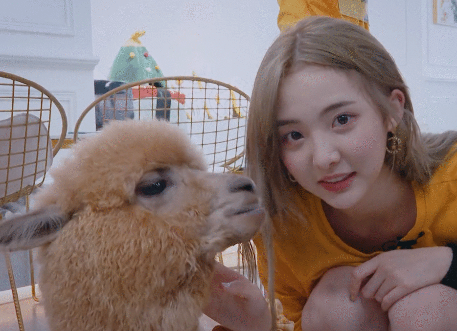 创造营2020：Nene掉到第7，网友：本有望站C位，现