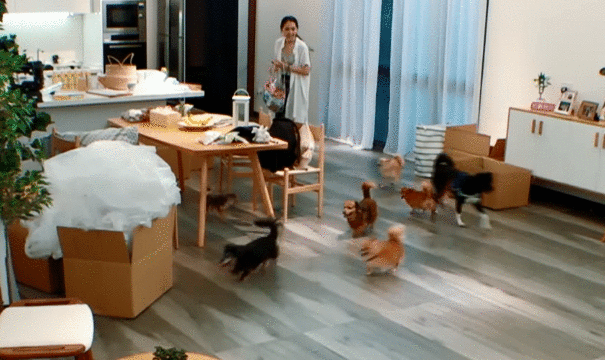 郭碧婷发伤感文字引热议，向太再次澄清：别误