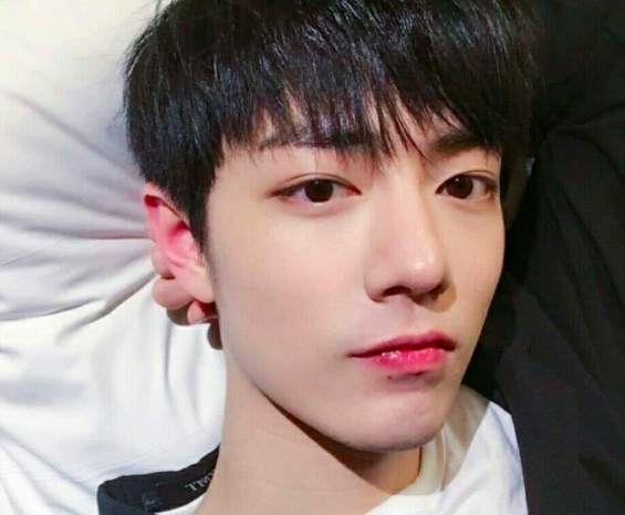 肖战新歌销量破吉尼斯纪录，上热搜后又秒撤，