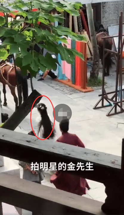 杨紫吴亦凡开心聚餐后，《青簪行》最新路透曝