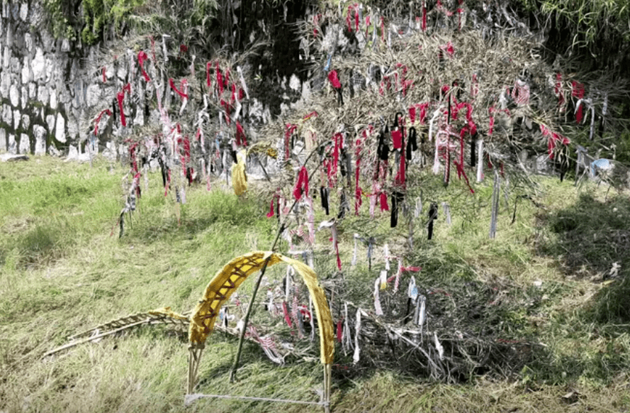 官方回应“气功大师发功退洪水”：系民间祈福