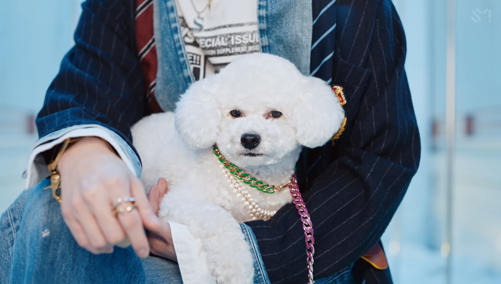 吴世勋solo曲故事:SM拒绝用朴灿烈作的歌,世勋