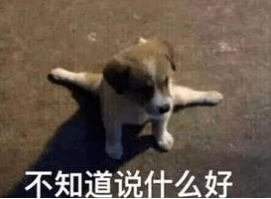 曾厝垵这样的店面一个月租金要十几万?!下辈