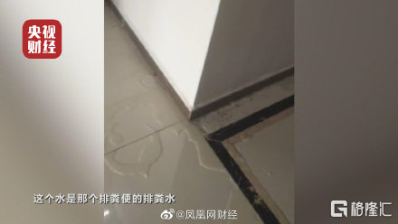 3.15出拳：流水的问题企业，铁打的诚恳道歉