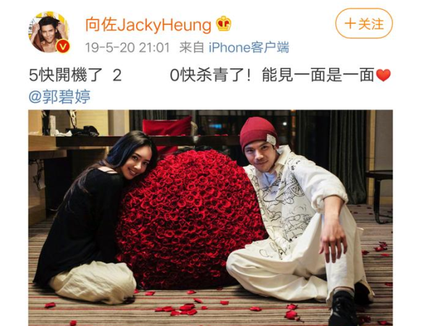 向佐娶郭碧婷，与其说是真爱，不如说是为了所