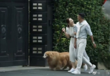 都在祝王漫妮梁正贤“分手快乐”,“海王”戏