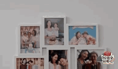 生活类综艺有风险，王祖蓝宠妻人设也悬了？