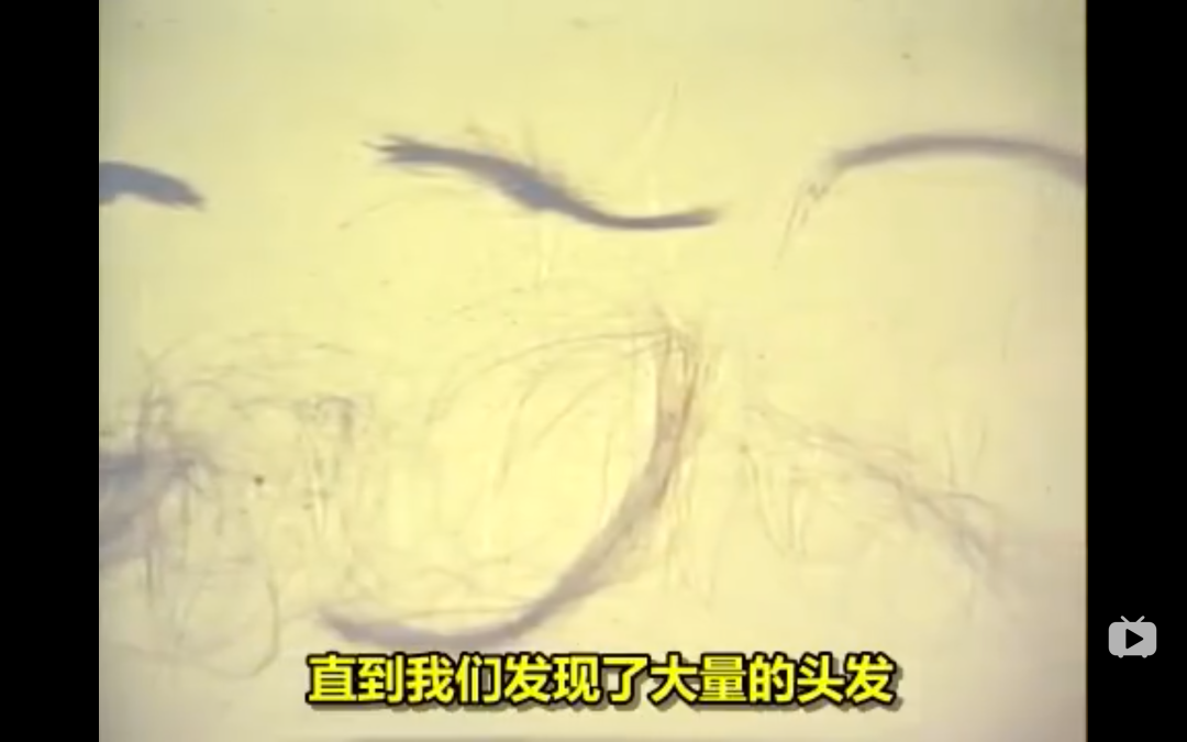 从业50年,侦破8000多起案件,当之无愧的华人之