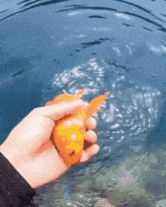 三编丨情侣之间的小游戏永远都是女方赢 不过有