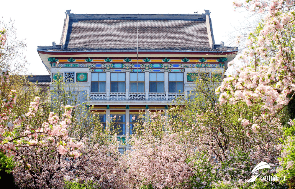 山师校庆限量款卫衣免费送？山东师范大学：假