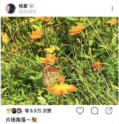 被曝同居试婚后，杨幂频晒片场照超敬业，魏大