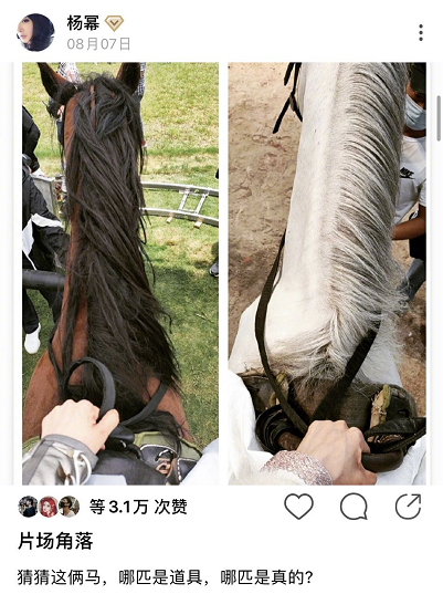 被曝同居试婚后，杨幂频晒片场照超敬业，魏大