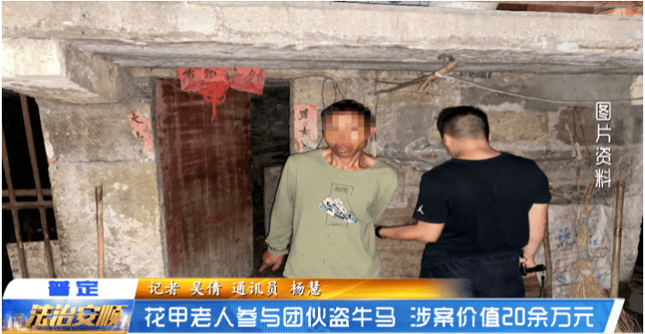 以案释法：花甲老人参与团伙盗牛马，涉案价值