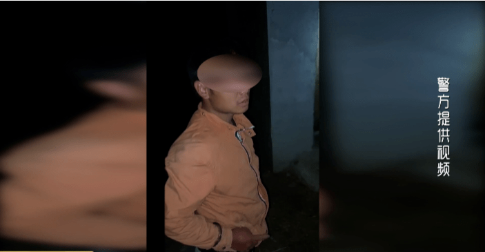 以案释法：花甲老人参与团伙盗牛马，涉案价值