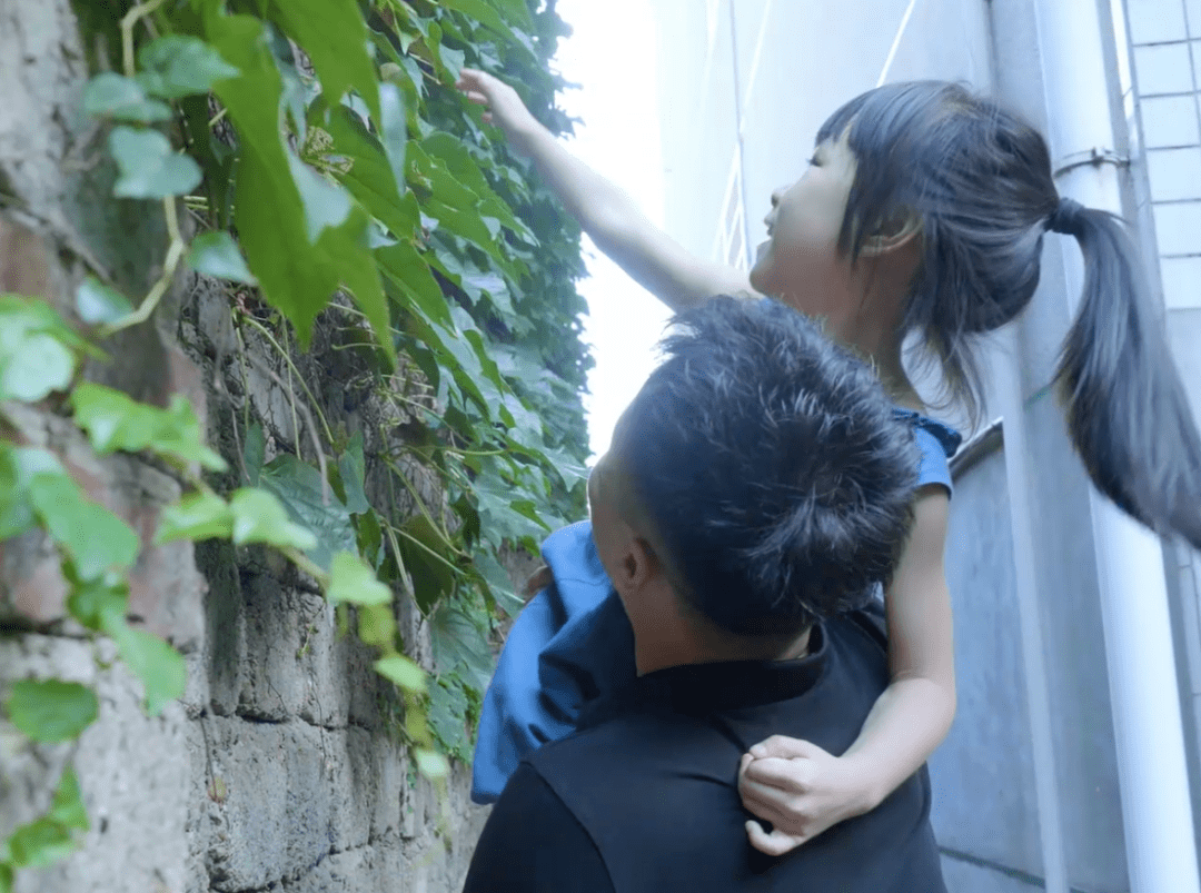 从没钱吃饭到月入三四万 这个“点子”不一般！