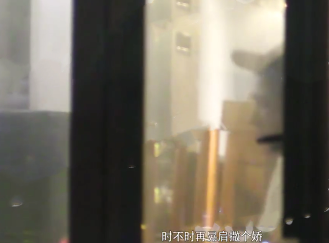 丁禹兮与神秘女子共进晚餐，女方贴心为他烤肉