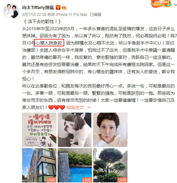 向佐七夕许愿有情人终成眷属，暗示想与郭碧婷