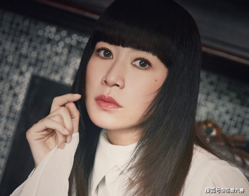 盘点娱乐圈十大女强人:黎姿公司上市,她18年前