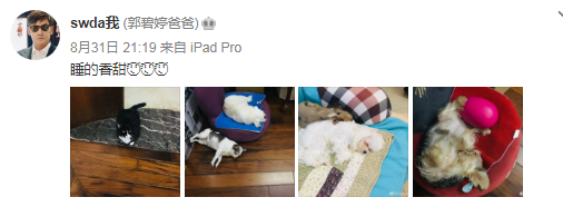 郭碧婷被传生女后，郭爸久违更博，晒午餐直言