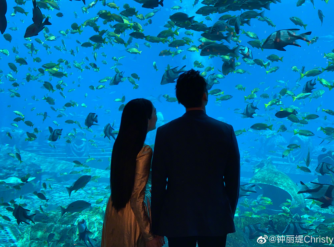 钟丽缇50岁生日将至，晒美照秀恩爱，皮肤吹弹可