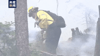 山火持续肆虐 美国俄勒冈州发生多起 “趁火打劫