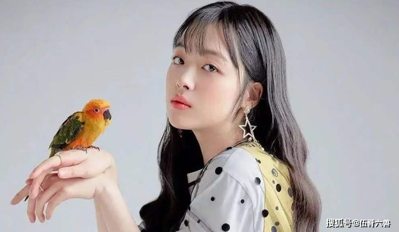 网络暴力再次上演!崔雪莉纪录片上线后,前男