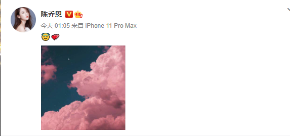 乔任梁妈妈发文悼念儿子，却被骂拿过世的儿子