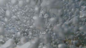 9.1分,我笑到失去表情管理