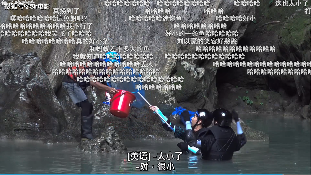 9.1分,我笑到失去表情管理