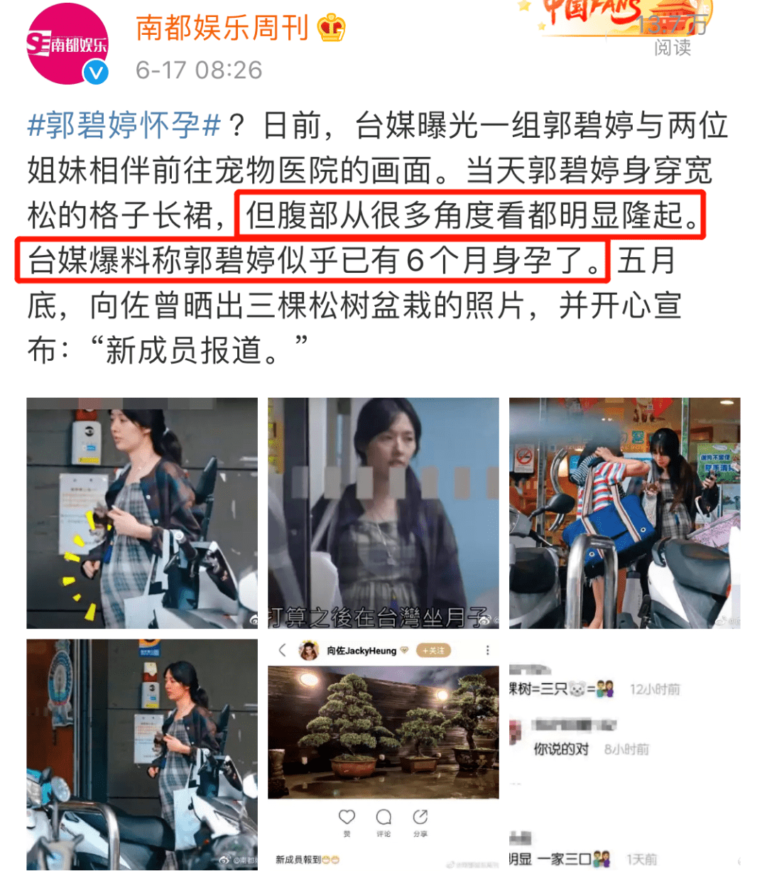 终于陪产?他们这婚结得太坎坷了