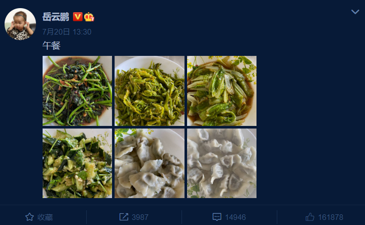 岳云鹏发微博“自问自答”称想吃饺子,粉丝吐