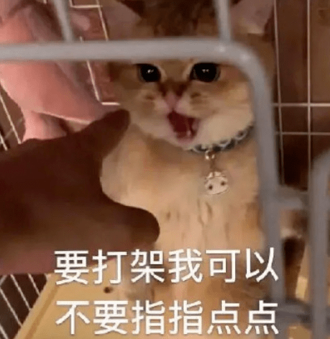 情商太低了吧....