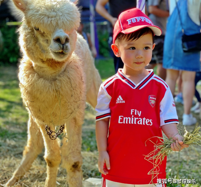 胡杏儿老公晒儿子萌照,奕霆选到心仪美食变害