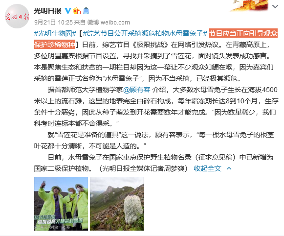 极限挑战刘宇宁摘国家保护植物遭专家打脸,争